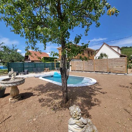 Au Coeur Des Vignes Daire Bergheim Dış mekan fotoğraf