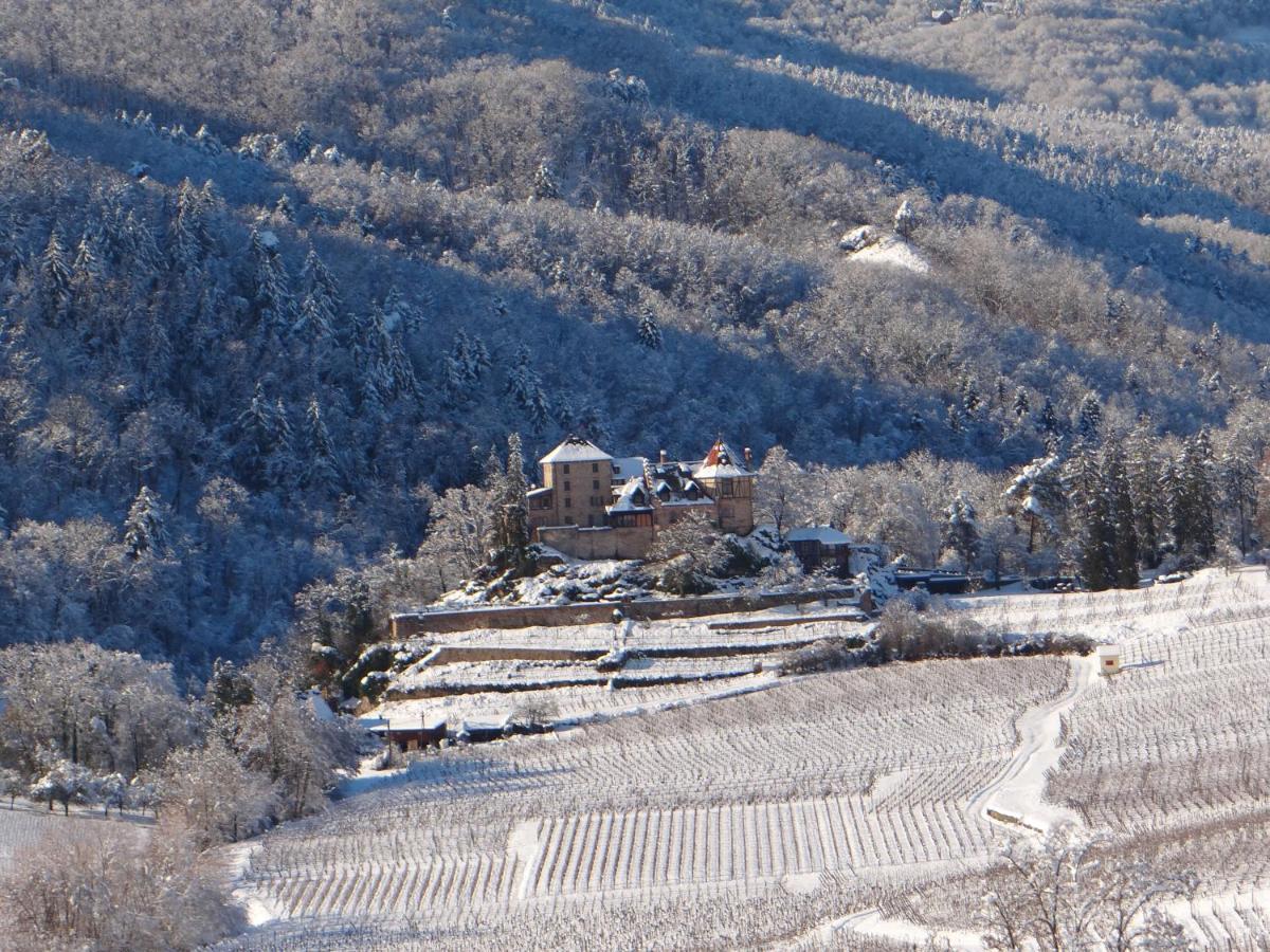 Au Coeur Des Vignes Daire Bergheim Dış mekan fotoğraf