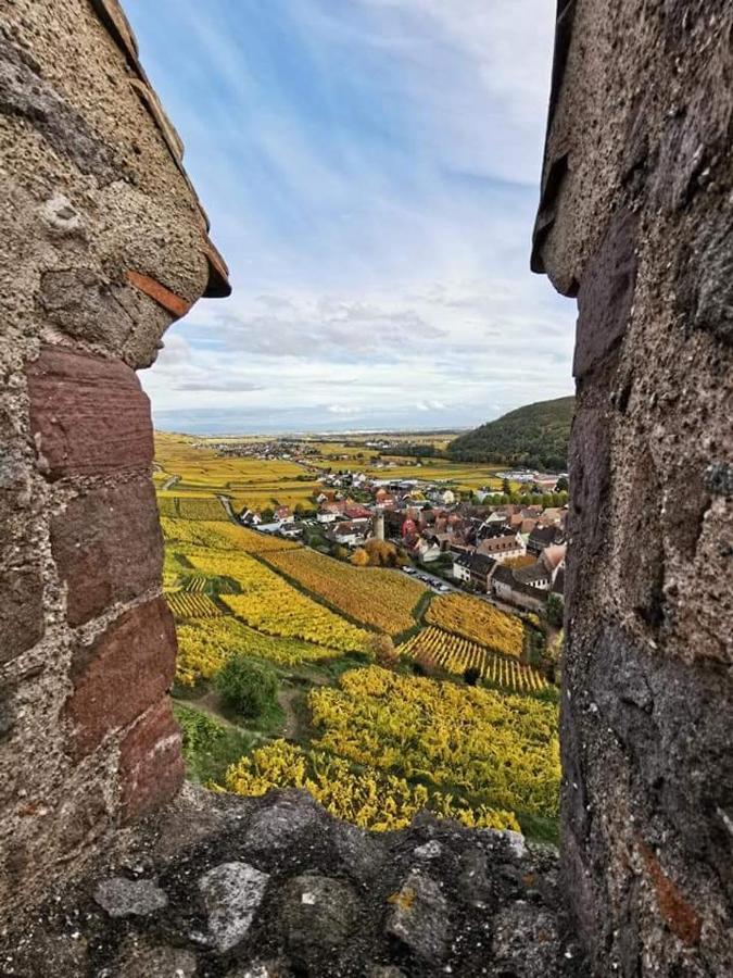 Au Coeur Des Vignes Daire Bergheim Dış mekan fotoğraf