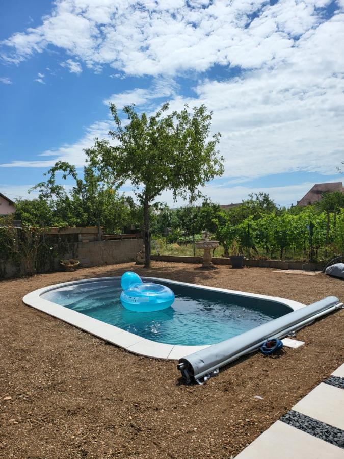 Au Coeur Des Vignes Daire Bergheim Dış mekan fotoğraf